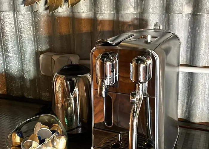 Gatu Selecta 5 Diseno Calidad Wifi, Aire Acc Junto Recinto Ferial, Preferente Mayores De 21 Anos Y Familias * Jerez de la Frontera